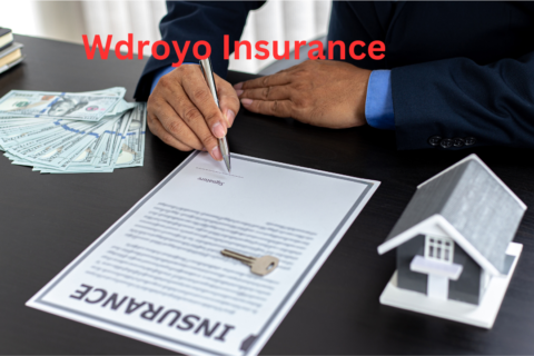 Wdroyo Insurance