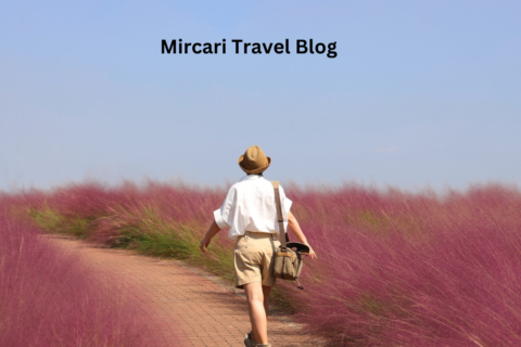 Mircari Travel Blog